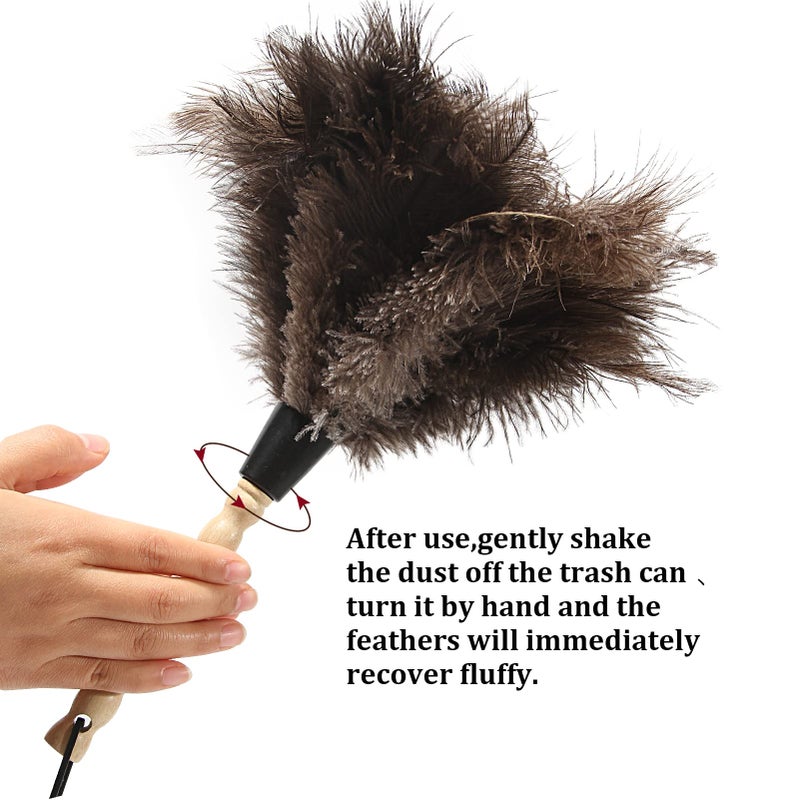 iHUFeather Ostrich Feather Duster 14 inch Feather Duster Fluffy Natural Genuine Ostrich Feathers with Wooden Handle and Eco-Friendly Reusable Handheld Ostrich Feather Duster for Cleaning Supplies - Image 4